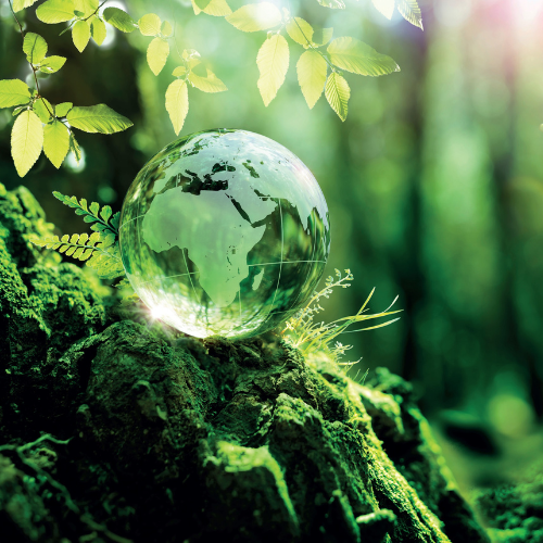 sustainability-attention